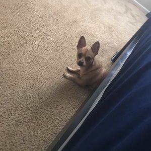 Meet your Posher, Maria